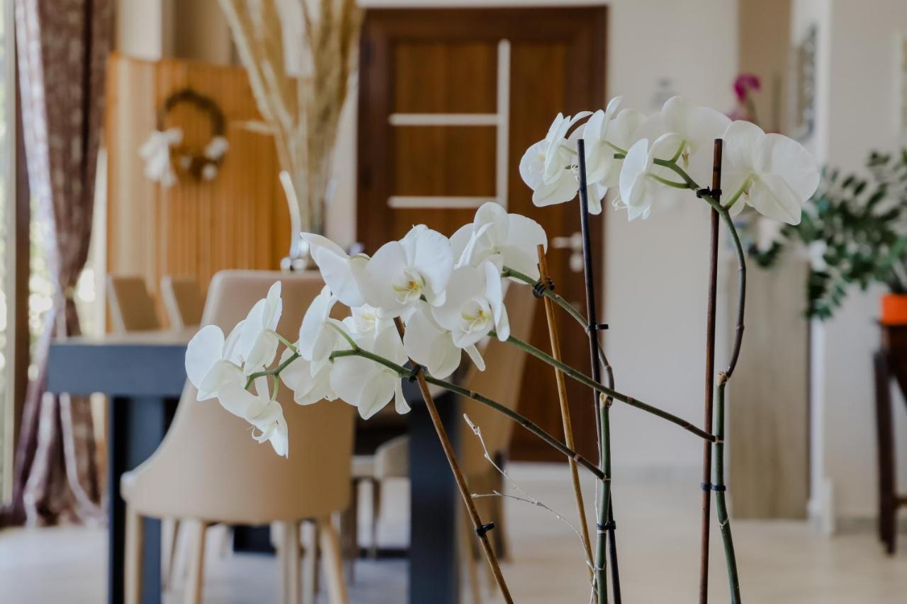 Endless Blue Apartment Palaiontsiflikion Ngoại thất bức ảnh